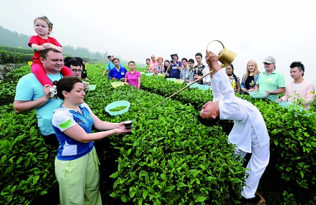 这条天街好有茶味可现场采茶品茶