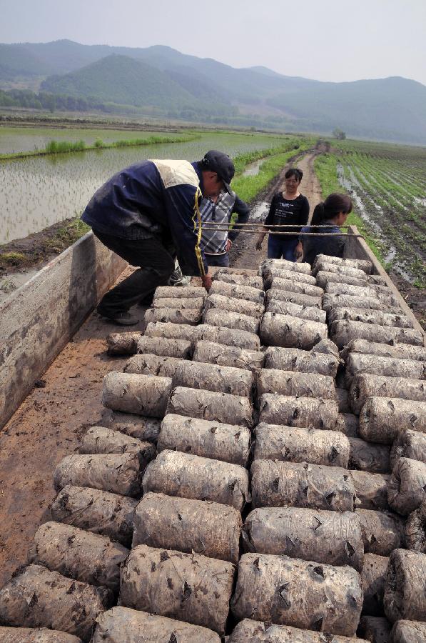 黑龙江海林遭遇洪灾 农户积极抗灾自救