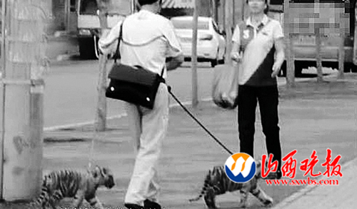 两只老虎笛子简谱图片下载 用电子琴弹两只老虎的指法是怎