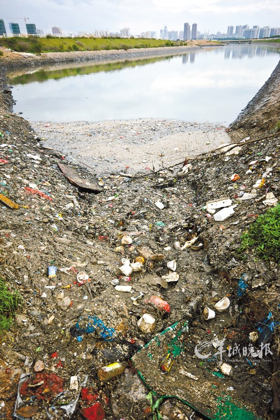 桂庙河出海口处，垃圾聚集河水黑臭