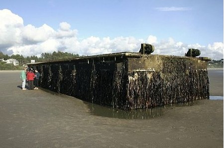 美国西海岸发现一座被海啸冲来的日本浮桥(图