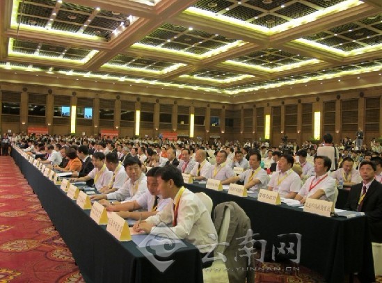 约350名签约代表出席集中签约仪式。 记者 曹璐 摄