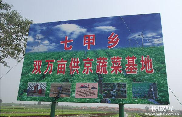 中国人均住宅_中国人均蔬菜消费量(2)