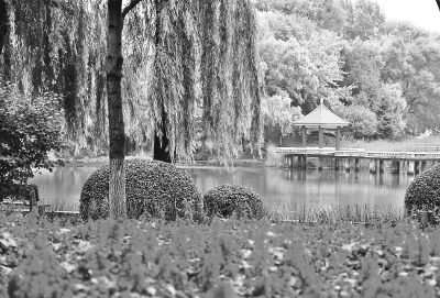 永嘉乱弹万年欢曲谱(2)