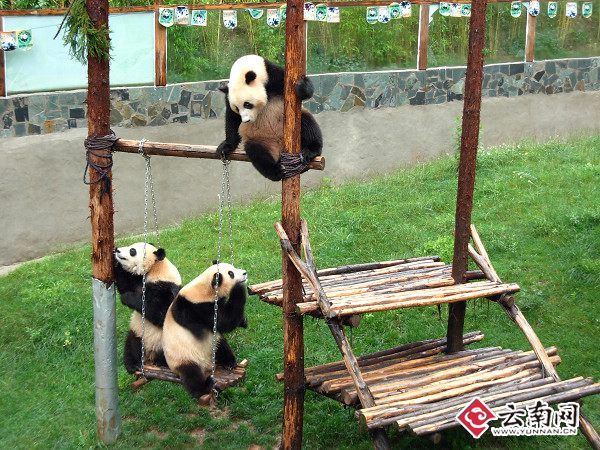 云南的时光真好