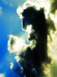 92f597927f37ac8d0a33c8a098512e08.jpg