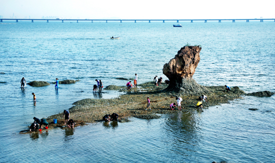 红岛赶海(韩建海)