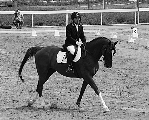 骑手英姿飒爽上赛场