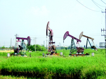 临邑gdp_临邑好人图片