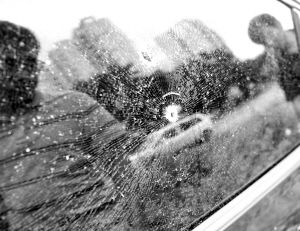 子弹孔是打狗气枪所致