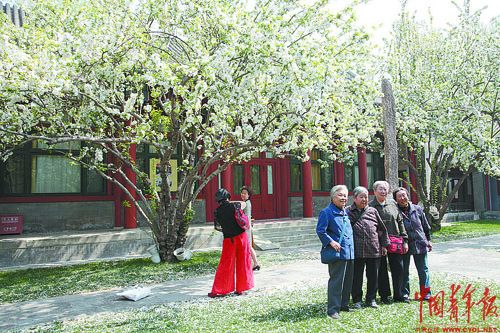 周杰伦曲谱简单的