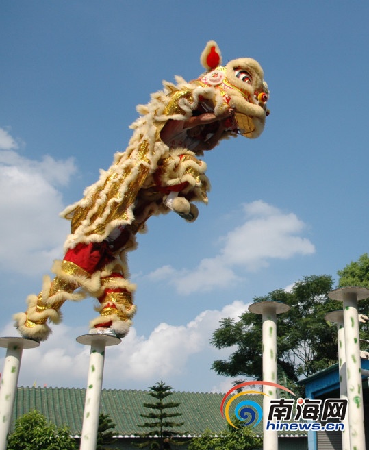 翟凌携手佛山黄飞鸿助阵罗马里奥海口开业