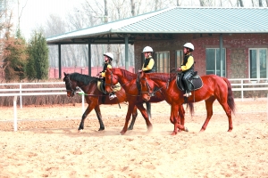 北京市私立汇佳(IB)学校