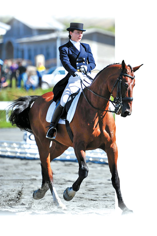 全国马术盛装舞步锦标赛落幕