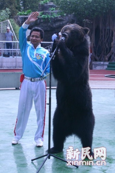 上海野生动物园趣味奥运会开幕 小象点燃火炬