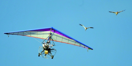 普京驾驶动力滑翔机从两织白鹤旁飞过.新华/法新