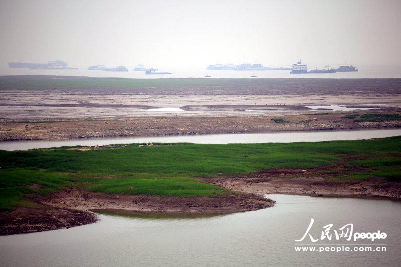 2012年10月25日,九江江西,鄱阳湖九江市庐山区蛤蟆石分校,水域裸露郑州七中浅滩高中部图片