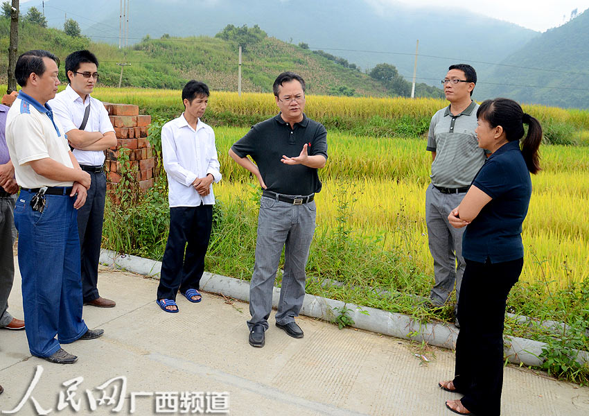 凌云县县长方立斯(右三)深入玉洪瑶族乡检查指导农业生产