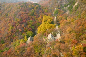 盘山县新闻 305a8c494f6c01ba3def1a0d7173c05c.jpg