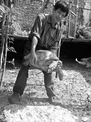 长安汽车越野5一8万元_小鸡小鸡_小郑家全年收入8万元