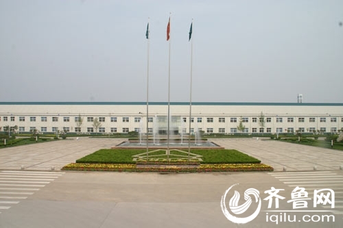 今创集团销售收入(2)