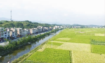 2007年,西岩全镇有人口6万人,是城步县人口最多的乡镇,与同时期洞口县