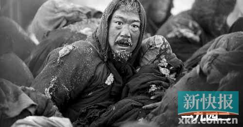 《一九四二》竹荪配燕窝,养身又修心_资讯频道_凤凰网