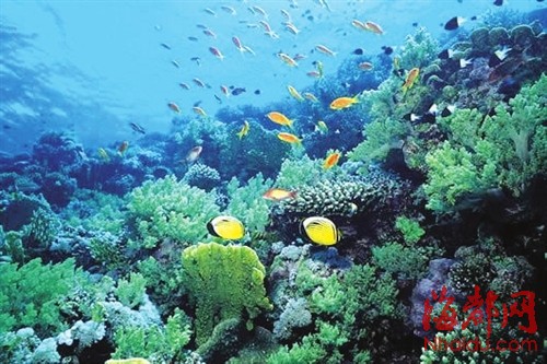 澳大利亚大堡礁