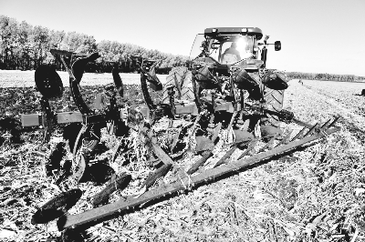 友谊农场今年粮食增产2亿斤