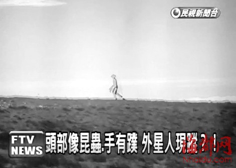 台警察拍到外星人?颜色透明头像螳螂