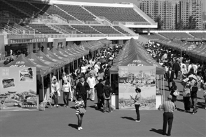 请你来龙岗创业发展的四大理由