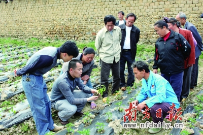 始兴县人口_始兴人口计生工作接受省年终考核(2)