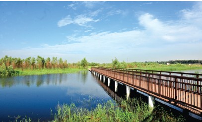 郑州将建32个主题森林公园 森林城市总体规划