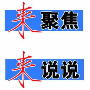 华西村人均收入_人均收入7000(3)