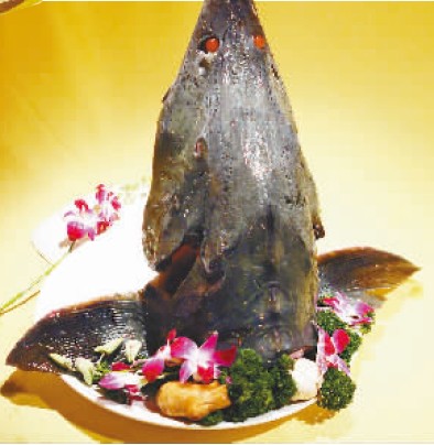 最大的淡水鱼鲟鳇鱼驾到 鱼香肉丝里终于有鱼