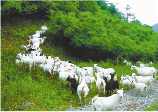 ·图文:到田间地头,探乡亲致富之路