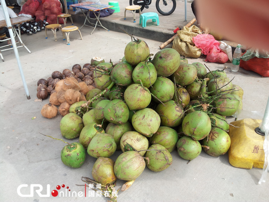 湛江天气暖如夏 沙滩过节分外美(组图)