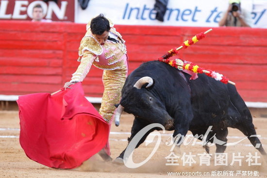 高清:墨西哥斗牛比赛 选手挑战愤怒公牛_资讯频道_凤凰网