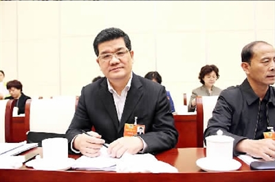 中瑞岳华_中瑞岳华收入(2)