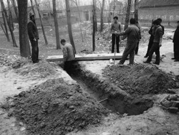 朱之文的家像个工艺品仓库