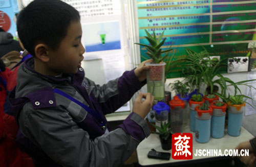 本网记者探省赛:创新发明的点子全都来自生活