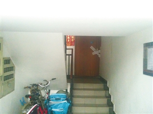 租的房怎么人口普查_人口普查绘画怎么画