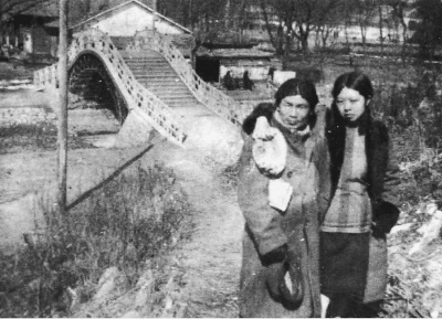 在文字里不朽 在电影中复苏_资讯频道_凤凰网