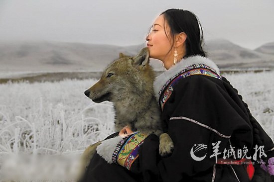 一个女画家与一只狼的故事