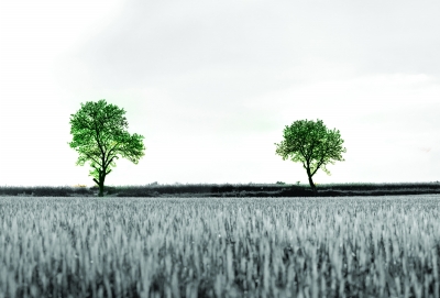 1 因为… 世界末日没有来 一个新的周期开始了