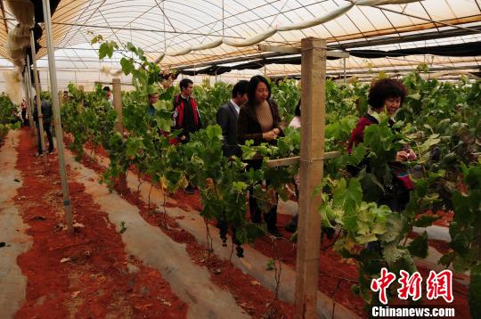 园林花岗岩铺装方法