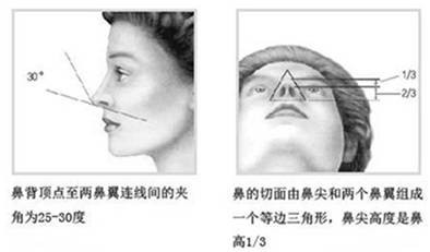 专家解密鼻部整形:什么样的鼻子才适合中国人