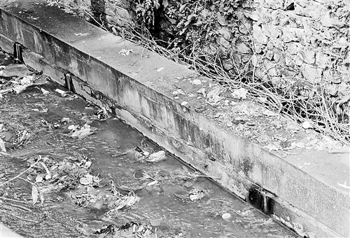 小泉支流污染重伤花溪河