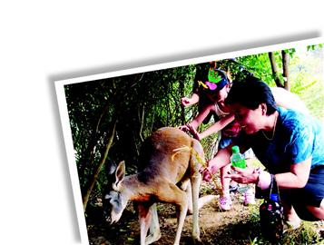 曾经的成都野生世界让多少人叹息