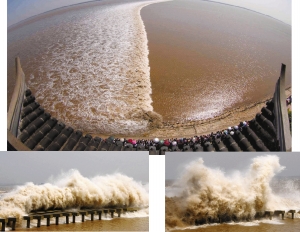 钱塘江大潮+资料图片